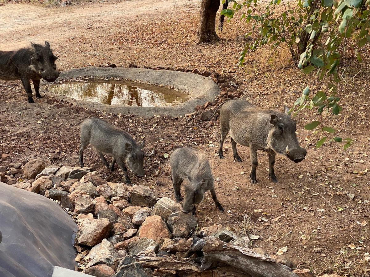 Jackals Dream - Self Catering Villa Bordering Kruger National Park Marloth Park Exterior photo